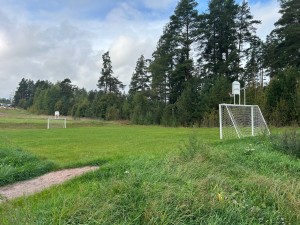 благоустройство коттеджного поселка