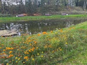 благоустройство коттеджного поселка