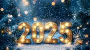 С Новым 2025 Годом!