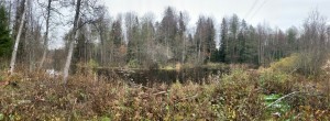IMG_3307.jpeg