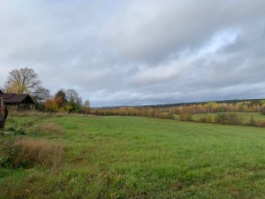 IMG_4388.jpeg
