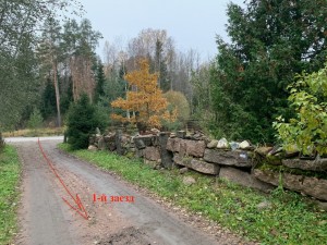 IMG_3334.jpeg