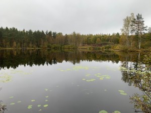 IMG_9456.jpeg
