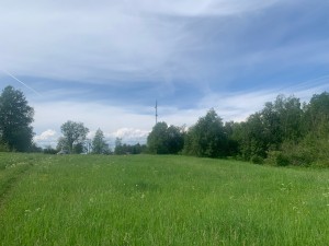 IMG_6453.jpeg