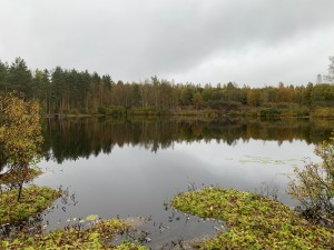 IMG_9455.jpeg
