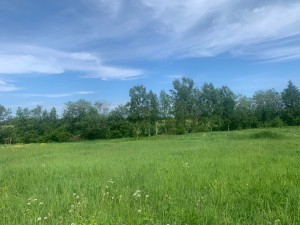 IMG_6452.jpeg