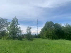 IMG_6454.jpeg