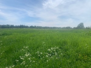 IMG_6445.jpeg