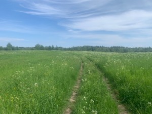 IMG_6443.jpeg