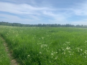 IMG_6444.jpeg