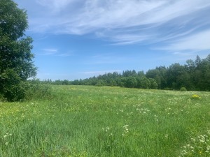 IMG_6449.jpeg