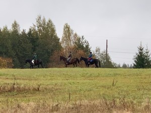 IMG_9486.jpeg