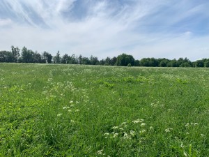 IMG_6438.jpeg
