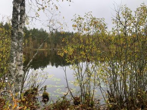 IMG_9454.jpeg