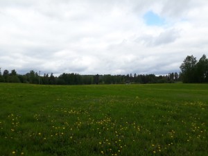 прокладка линий электропередачи