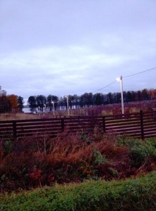 работы по монтажу наружного освещения