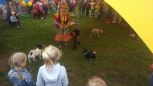 проводы лета в солнечном