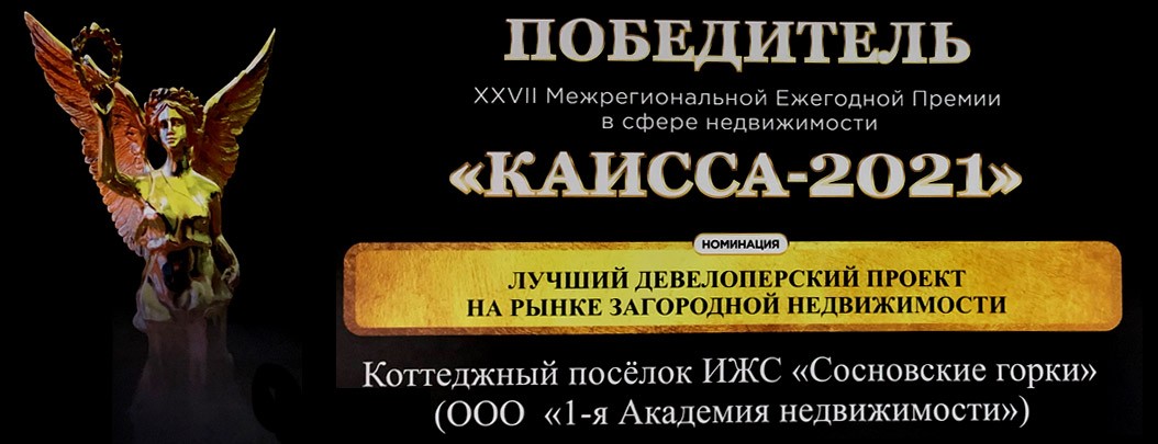 лучший девелоперский проект 2021