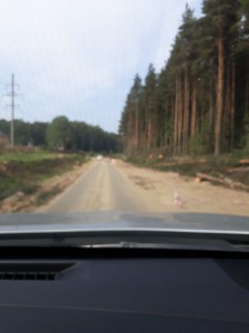 асфальтирование дороги в Дружном