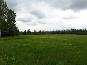 прокладка линий электропередачи