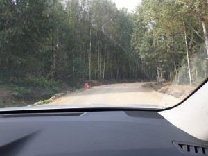 асфальтирование дороги в Дружном